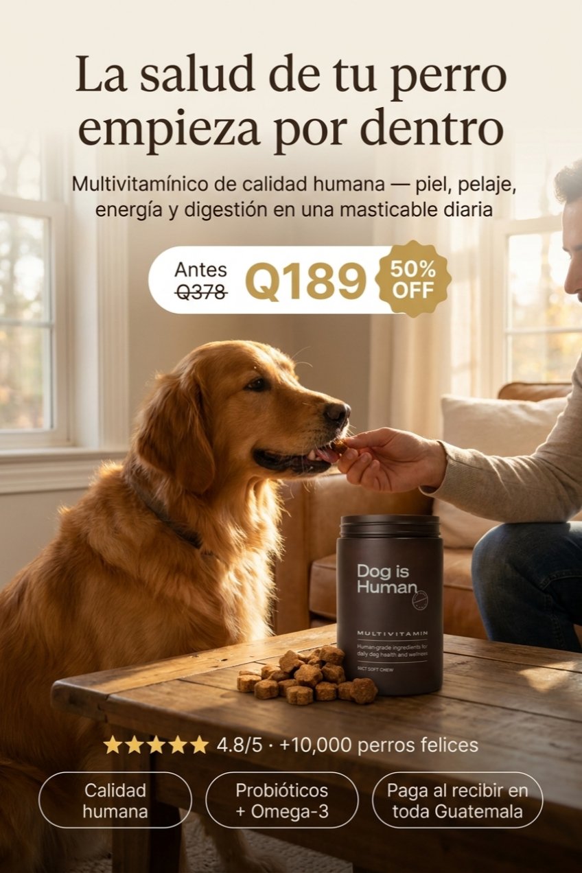 Dog is Human Multivitamínico