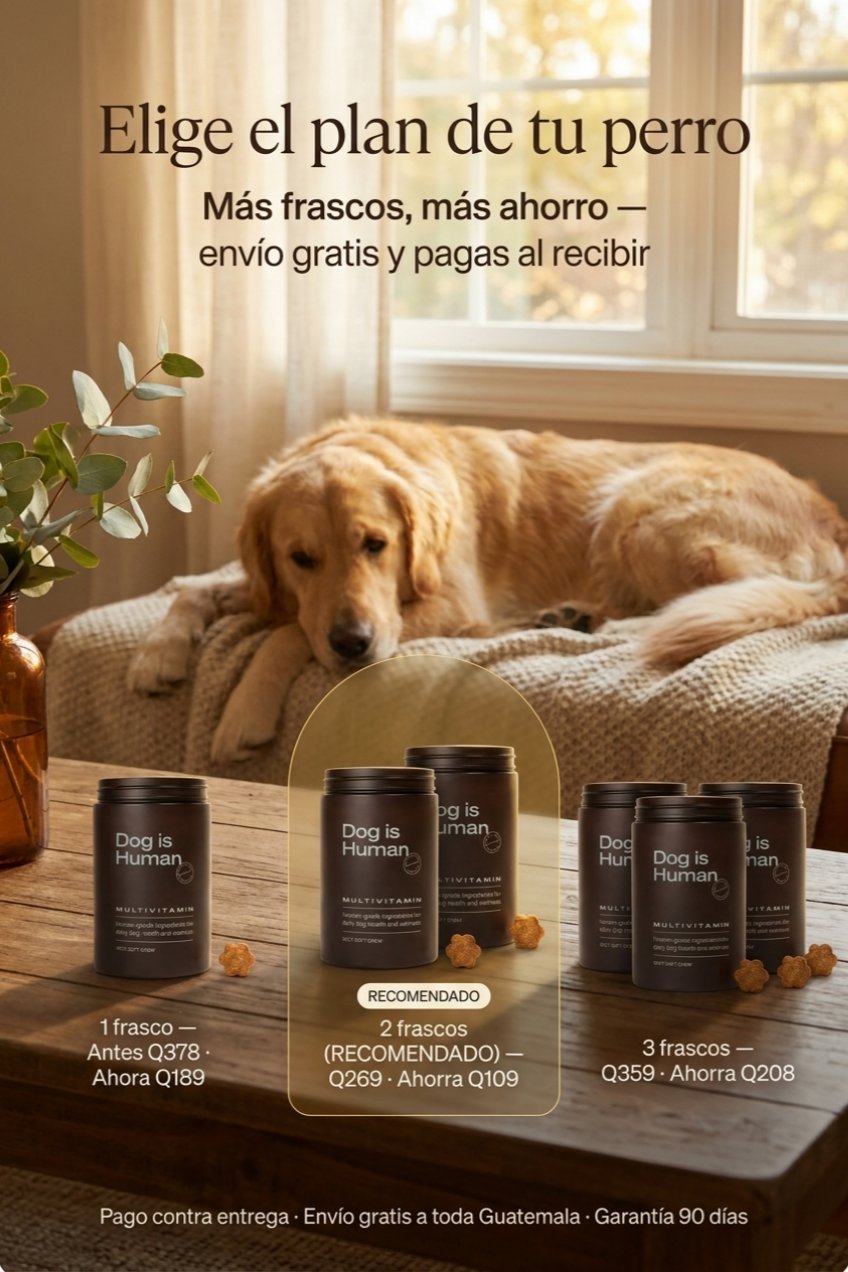 dih-offer